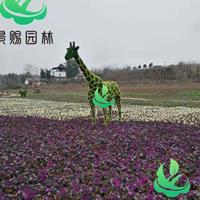 点击查看大图