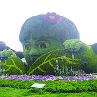 点击查看大图