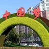 点击查看大图