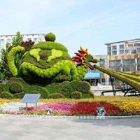 点击查看大图