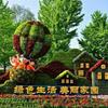 点击查看大图