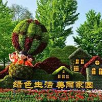 点击查看大图