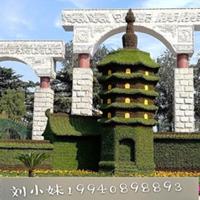 点击查看大图