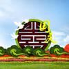 点击查看大图