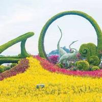 点击查看大图