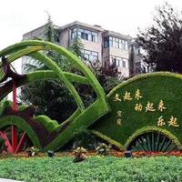 点击查看大图
