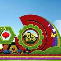 点击查看大图