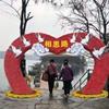 点击查看大图