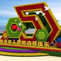 点击查看大图