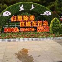 点击查看大图