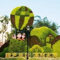 点击查看大图
