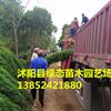 点击查看大图