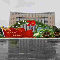 点击查看大图