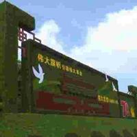 点击查看大图