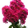޺ޱ ̨ĵӣ1.5-3