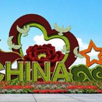 点击查看大图