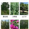 点击查看大图