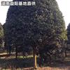  10ֹ۶