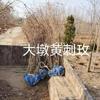 ջƴ÷鱨/ջƴ÷ͼƬչʾ
