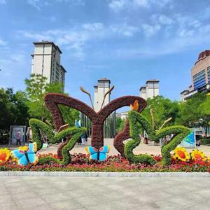 点击查看大图