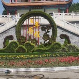 点击查看大图
