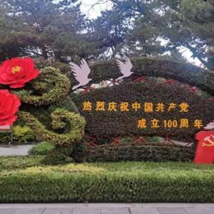 点击查看大图