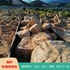 浙江园林风景石产家直销 天然黃石桐庐石