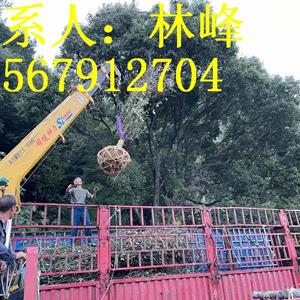 点击查看大图