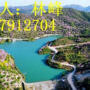 点击查看大图
