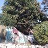רP450ҶŮ
