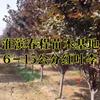615־ƷҶ۸̸