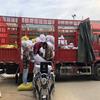 点击查看大图