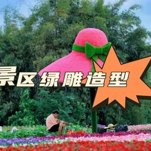 点击查看大图