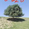 ؾ90ֹڷ4ɽ