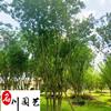 Ĵޱ۸ 10-20ޱ ɶޱֱ