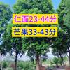 23-44֣â33-43