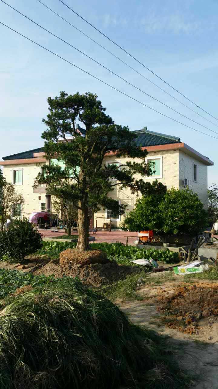 萧山新湾国荣园艺场