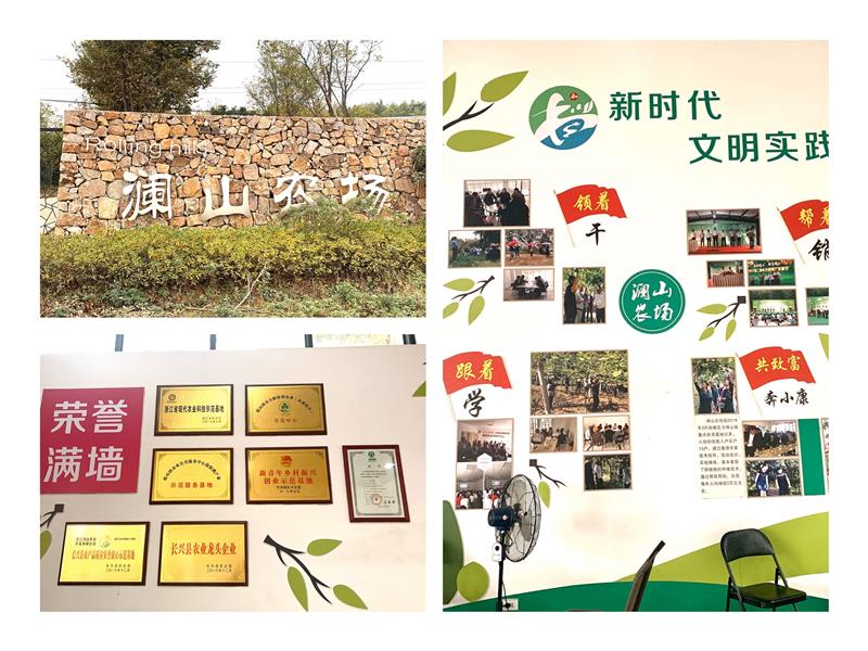 浙江省长兴县七里亭森泉苗木基地