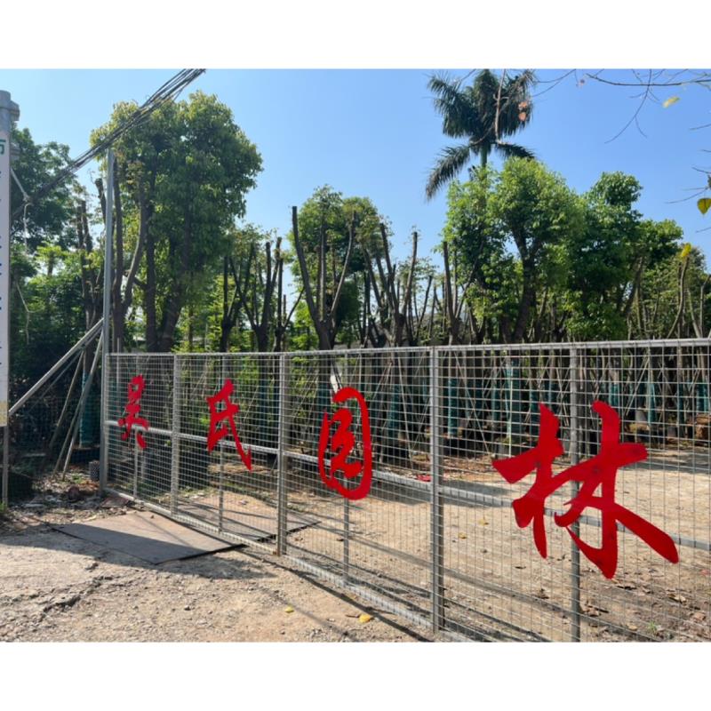 揭阳市吴氏园林绿化有限公司