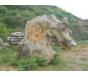 千层石(积层岩)、假山