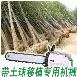 手提式苗木断根机