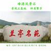 景观石、景观石批发、景观石供应、风景石、假山石 编号LD17