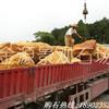 草坪黄蜡石 园林景观石
