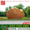 2.2米宽广东黄蜡石 风景石 编号B-4004
