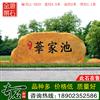 4.5米宽广东黄蜡石 景区刻字石 编号LL-3533