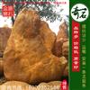 2.1米高立石 镇宅风水黄蜡石 景观石 编号Y-1328