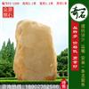2.1米高园林黄蜡石 刻字石 编号F2-1309