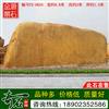 8.8米宽广东黄蜡石 大型景观刻字石 编号F2-0634