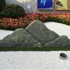 九龙玉切片组合 广东泰山石切片石 原石切片园林景观造景