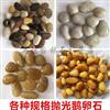 建筑铺路石 机制白鹅卵石 园林铺路鹅卵石 各种规格鹅卵石